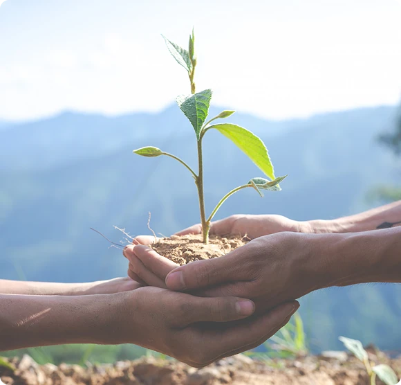 Sustainable building practices